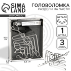 Головоломка металлическая «Раздели на части» №53 - Фото 1