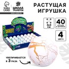 Растущие животные Funny toys в круглом белом яйце «Страна динозавров», МИКС - Фото 1