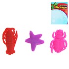 Растущие животные «Насекомые», набор 3 шт., МИКС - Фото 8