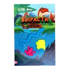 Растущие животные «Насекомые», набор 3 шт., МИКС - Фото 2