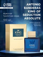 Туалетная вода мужская Antonio Banderas King Of Seduction Absolute, 100 мл - Фото 1