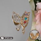 Брошь «Бабочка», цветная в золоте - Фото 1
