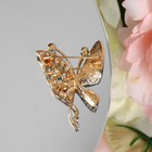 Брошь «Бабочка», цветная в золоте - Фото 2