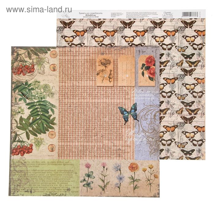 Бумага для скрапбукинга La Botanique "Растительный фон" 29.5 х 29.5 см 180 г/м - Фото 1