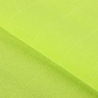 Бумага гофрированная, 958 "Светло-зелёная", 0,5 х 2,5 м - фото 8438433