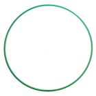 Обруч, диаметр 90 см, цвет зелёный - фото 301475229
