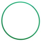 Обруч, диаметр 60 см, цвет зелёный - фото 108298467