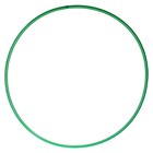 Обруч, диаметр 70 см, цвет зелёный - фото 5889523