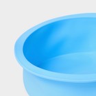 Форма для выпечки Доляна «Круг», силикон, 15,5×5,5 см, внутренний d=15,5 см, цвет голубой - фото 4551498