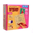 Набор для выжигания и росписи по дереву «Настоящая принцесса» - Фото 3