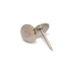 Гвозди ТУНДРА, декоративные, обивочные, фактурные, 11×16 мм, хром, 100 шт. - Фото 3