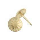 Гвозди ТУНДРА, декоративные, обивочные, фактурные, 11×16 мм, золото, 100 шт. - Фото 3