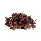 Гвозди ТУНДРА, декоративные, обивочные, фактурные, 11×16 мм, медь, 100 шт. - Фото 4