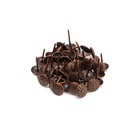 Гвозди ТУНДРА, декоративные, обивочные, фактурные, 11×16 мм, медь, 100 шт. - Фото 5