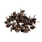 Гвозди ТУНДРА, декоративные, обивочные, фактурные, 11×16 мм, бронза, 100 шт. - Фото 4