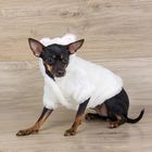 Шубка белая с капюшоном-ушками для собак, размер L (ДС 28 см, ОГ 38 см, ОШ 28 см) - Фото 1