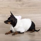 Шубка белая с капюшоном-ушками для собак, размер L (ДС 28 см, ОГ 38 см, ОШ 28 см) - Фото 3