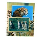 Тетрадь 48 листов клетка Safari "Леопард", офсет - Фото 1
