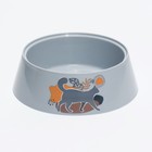 Миска "Cats" 0,3л, 14,5 x 14,5 x 4 см, серая - Фото 1
