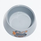 Миска "Cats" 0,3л, 14,5 x 14,5 x 4 см, серая - Фото 3