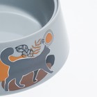 Миска "Cats" 0,3л, 14,5 x 14,5 x 4 см, серая - Фото 4