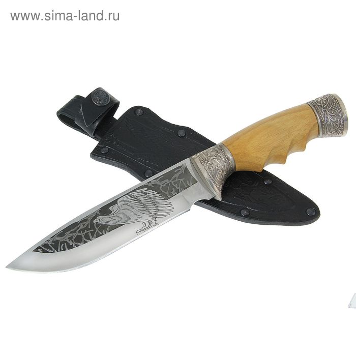 Нож «Беркут» с мельхировыми гардами, рукоять-дерево, сталь 65х13 - Фото 1