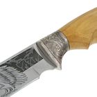 Нож «Беркут» с мельхировыми гардами, рукоять-дерево, сталь 65х13 - Фото 3