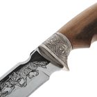 Нож «Восток» с мельхиоровыми гардами, рукоять-дерево, сталь 65х13 - Фото 6