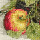 Набор для вышивания крестиком «Спелые яблоки» - Фото 5