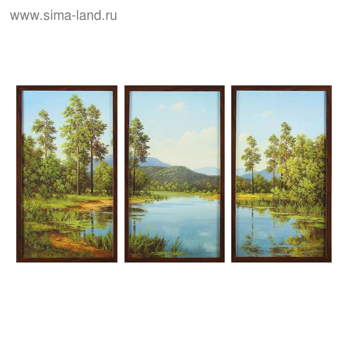 Картина модульная в раме "Горное озеро" 3шт.-33*60 см   60*100 см - Фото 1