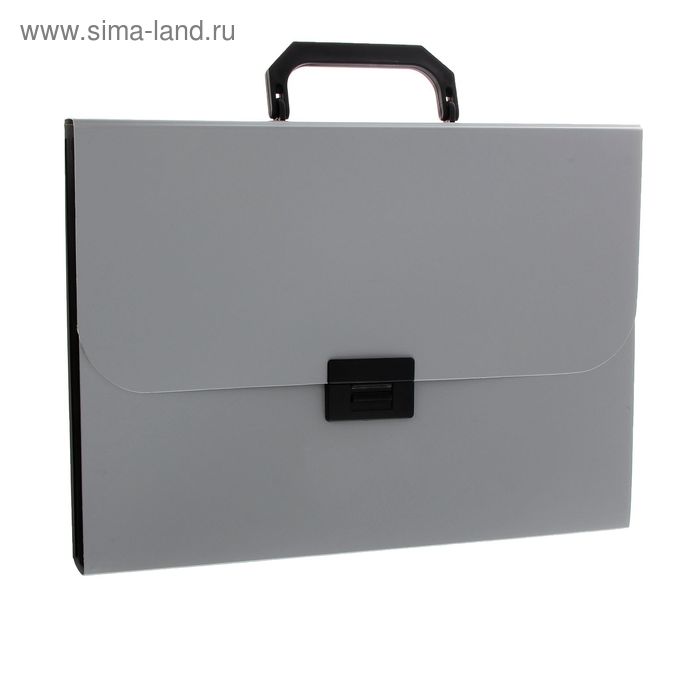 Папка-портфель А4, 12 отделений BASIC 700мкм, на замке, серый - Фото 1