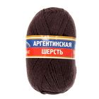 Пряжа "Аргентинская шерсть" 100% импортная п/т шерсть 200м/100гр (233, кофе) - Фото 2