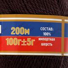 Пряжа "Аргентинская шерсть" 100% импортная п/т шерсть 200м/100гр (233, кофе) - Фото 3