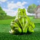 Садовая фигура "Лягушка пятнистая" 22см - Фото 3
