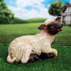 Садовая фигура "Овечка маленькая лежащая" 14х33х24см МИКС - Фото 2