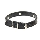 Ошейник "Бакалавр" 37 х 1,5 см, искусственная кожа, черный - Фото 2