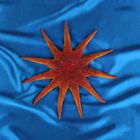 Морская звезда декоративная SS25 9454 - Фото 1