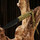 Нож метательный "Форест" 18см, клинок 89мм/1,8мм, зеленый - Фото 3