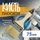 Кисть плоская ТУНДРА, натуральная щетина, деревянная рукоятка, 3", 75 мм - Фото 1