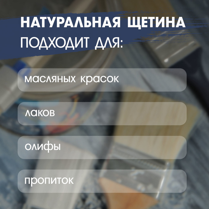 Кисть плоская ТУНДРА, натуральная щетина, деревянная рукоятка, 3", 75 мм - фото 18503569