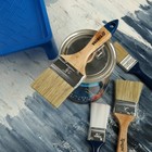 Кисть плоская ТУНДРА, натуральная щетина, деревянная рукоятка, 2.5", 63 мм - Фото 6