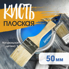 Кисть плоская ТУНДРА, натуральная щетина, деревянная рукоятка, 2", 50 мм 881504 - фото 16461365