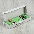 Мулине №3904,10±1м, цвет светло-зелёный - Фото 2