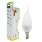 Лампа светодиодная ASD LED-СВЕЧА НА ВЕТРУ-standard, Е14, 5 Вт, 230 В, 3000 К, 450 Лм - фото 8440326