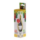 Лампа светодиодная ASD LED-СВЕЧА НА ВЕТРУ-standard, Е14, 5 Вт, 230 В, 3000 К, 450 Лм - Фото 5