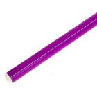 Палка гимнастическая 90 см, цвет фиолетовый - фото 317887140