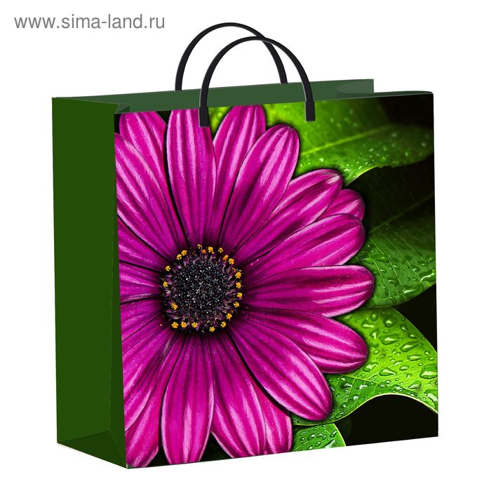 Пакет "Фиолетовый цветок", мягкий пластик, 30 х 9 х 30 см, 137 мкм - Фото 1