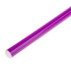 Палка гимнастическая 70 см, цвет фиолетовый - фото 8440505