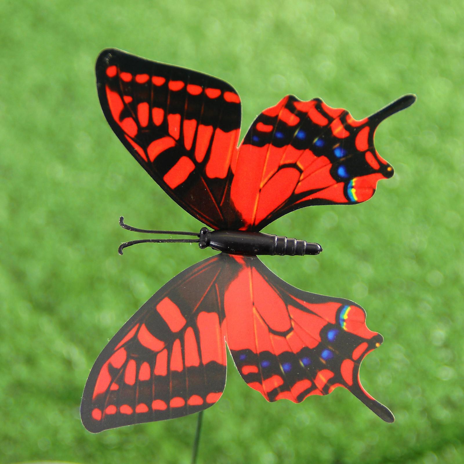 Butterfly x