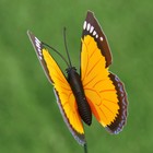 Штекер "Бабочка" 3,5-7см, длина 30см, микс - Фото 7